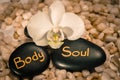 Word body and soul and white orchid Royalty Free Stock Photo