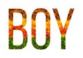 Word Boy written with leaves white isolated background, banner for printing, creative illustration of colored leaves.