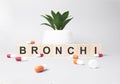Word BRONCHI made from wooden letters on grey backgound. Plant on backgound. Medical concept