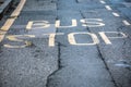 Word Bus Stop written on asphalt