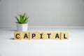 word Capital. Increase investment and foreign capital in the national economy. Improve business climate and increase Royalty Free Stock Photo