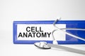 The word Cell anatomy on the blue folder and stethoscope