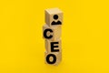 The word CEO chief executive officer on wooden cubes on yellow background