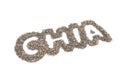 Word Chia layout of chia seeds, isolated