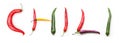 word CHILI made from red, purple, yellow and green chili peppers, alphabetic ABC letters made of chillies, peppers, vegan january