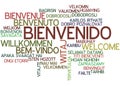 Word Cloud Bienvenido