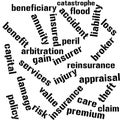 Insurance related glossary wordcloud light variant