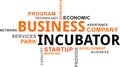 Word cloud - business incubator