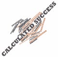 Word cloud for Calculated Success Royalty Free Stock Photo