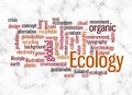 Word Cloud with ECOLOGY concept create with text only Royalty Free Stock Photo