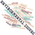 Word cloud for Environmental Issues Royalty Free Stock Photo