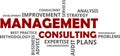 Word cloud - management consulting Royalty Free Stock Photo