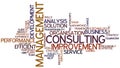 Word Cloud Management Consulting Royalty Free Stock Photo