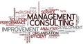 Word Cloud Management Consulting Royalty Free Stock Photo