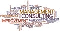 Word Cloud Management Consulting Royalty Free Stock Photo
