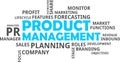 Word cloud - product management