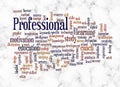 Word Cloud with PROFESSIONAL concept create with text only Royalty Free Stock Photo