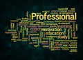 Word Cloud with PROFESSIONAL concept create with text only Royalty Free Stock Photo