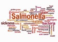 Word Cloud with SALMONELLA concept create with text only