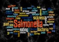 Word Cloud with SALMONELLA concept create with text only