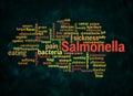 Word Cloud with SALMONELLA concept create with text only