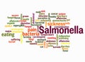 Word Cloud with SALMONELLA concept create with text only