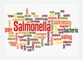 Word Cloud with SALMONELLA concept, isolated on a white background