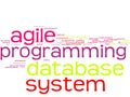 Word cloud - software development Royalty Free Stock Photo