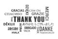 Word cloud - thank you - black Royalty Free Stock Photo