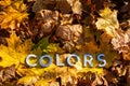 The word colors laid with metal letters over yellow autumn fallen leaves - closeup with selective focus