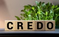 word creed on white toy cubes Royalty Free Stock Photo