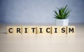 Word Criticism written with wooden blocks, business concept