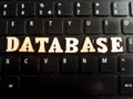 The word database