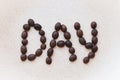 Word day made with coffee beans. Roasted coffee beans on white background. Text made by coffee beans. Cafe concept. Royalty Free Stock Photo