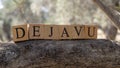 The word Deja vu was created from wooden cubes. Photographed on the tree..