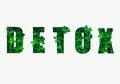 Word detox is made from green leaves. Concept of diet, cleansing the body, healthy eating, ditital detox