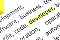 Word developer underlnines among other words printed on white paper. projects methodology and development team workflow concept Royalty Free Stock Photo