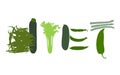 Word diet made of green vegetables