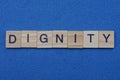 word dignity from small gray wooden letters Royalty Free Stock Photo