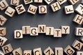 The word dignity Royalty Free Stock Photo