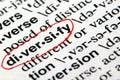 The word diversify in a dictionary