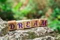 Word dream on stone Royalty Free Stock Photo