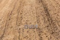 The word dust standing on dusty road surface in linear perspective