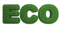 Word Eco made of grass Royalty Free Stock Photo