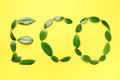 Word Eco made of green leaves on yellow background. Top view. Flat lay. Ecology, eco friendly planet and sustainable environment