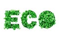 Word ECO made from greenery growing in stencil