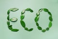 Word Eco made of leaves on green background. Top view. Flat lay. Ecology, eco friendly planet and sustainable environment concept