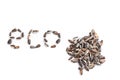 Word eco in sunflower seed on white background