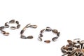 Word eco in sunflower seed on white background