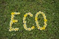 Word ECO written with blossoms Royalty Free Stock Photo